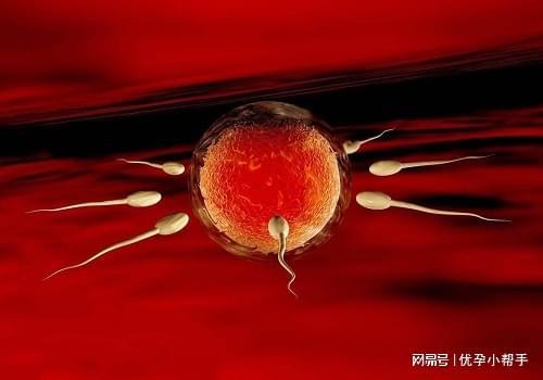 孕期需要注意什么呢？-优孕行龙8国际唯一高龄女性备孕及