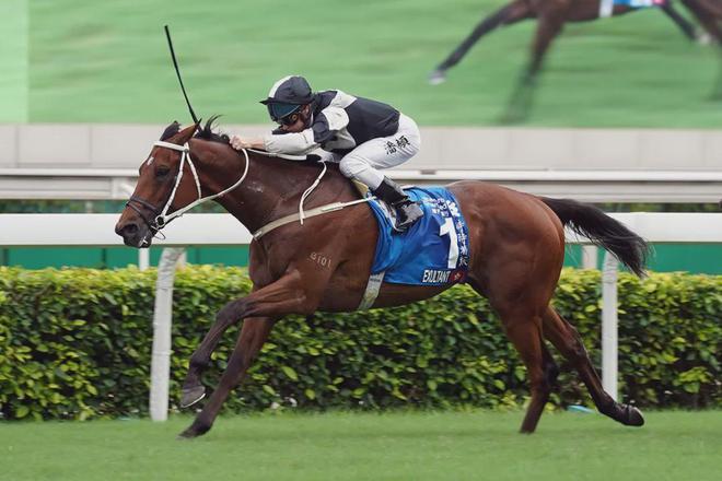 戴眼罩夺魁家族曾养香港马王long8登录王经纬赛驹(图2)