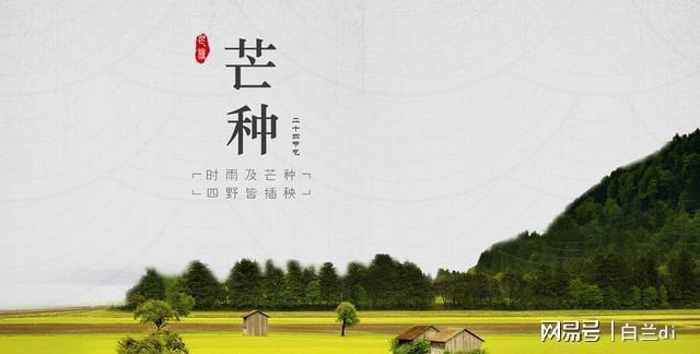 大特点提前知老农急呼早防备2025芒种60年一遇！4(图3)
