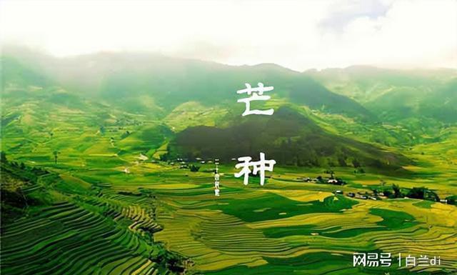 大特点提前知老农急呼早防备2025芒种60年一遇！4(图2)