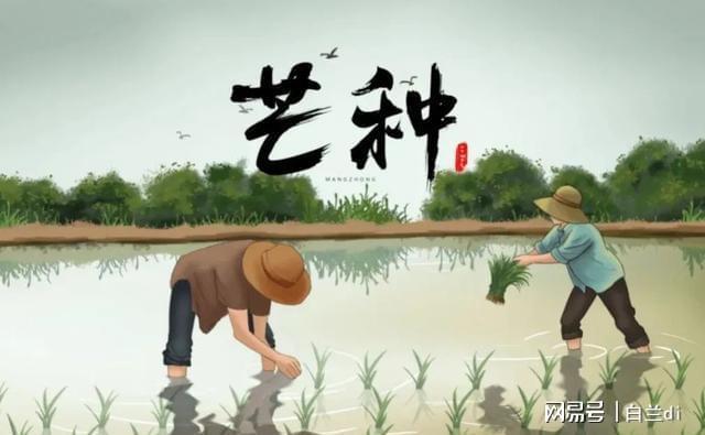大特点提前知老农急呼早防备2025芒种60年一遇！4(图6)