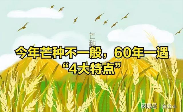 大特点提前知老农急呼早防备2025芒种60年一遇！4(图5)